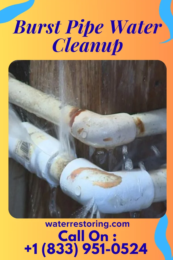 Burst Pipe Water Cleanup in Greencastle, MO