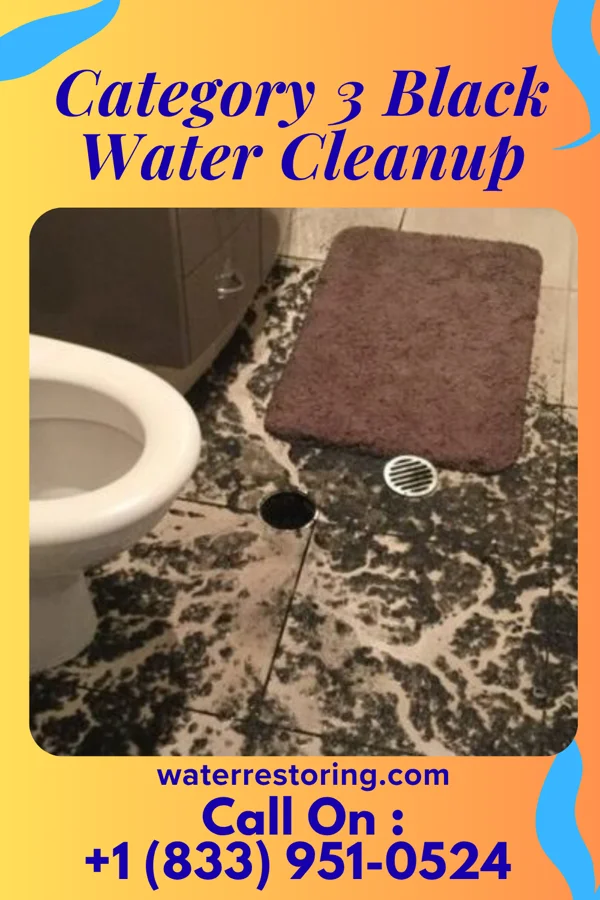 Category 3 Black Water Cleanup in Greencastle, MO