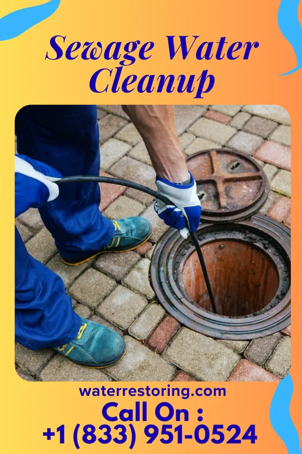 Sewage Water Cleanup in Greencastle, MO