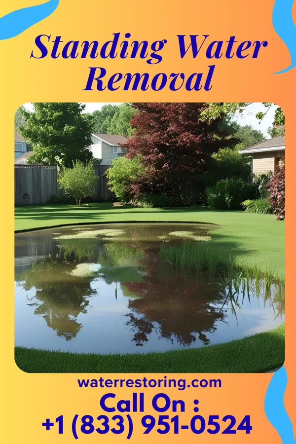 Standing Water Removal in Greencastle, MO
